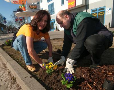 Barbara Richstein und Roger Lewandowski (Vorsitzender der CDU Falkensee) pflanzen Stiefmtterchen am Bahnhof Finkenkrug. Foto von Werner Schmidt PicturePoint.biz